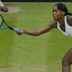 Venus Williams (Getty Images)